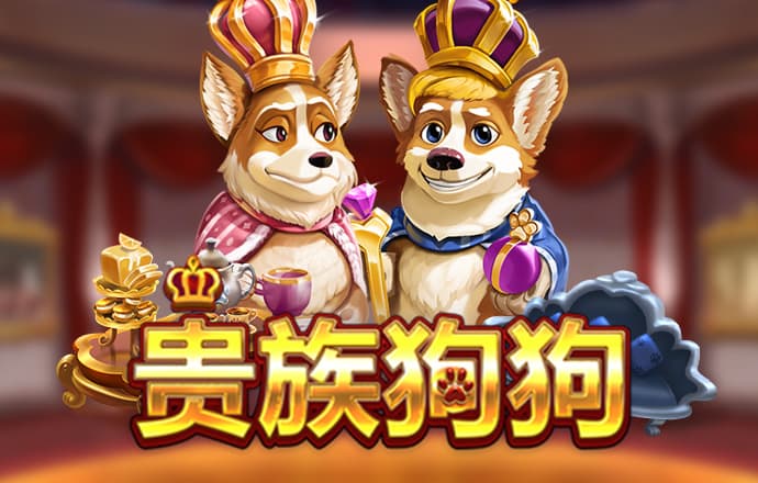 龙8体育app官方入口